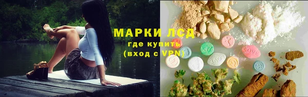 молекула духа Богородицк