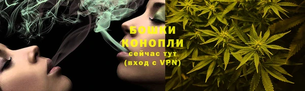 соль ск Богородск