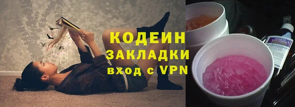 молекула духа Богородицк