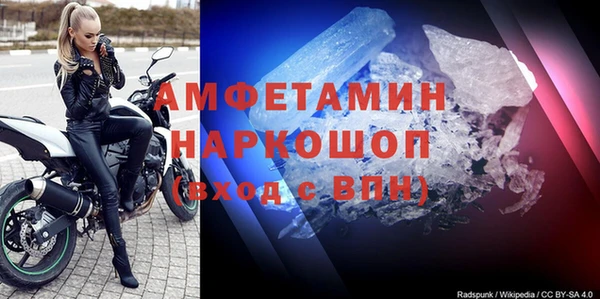 молекула духа Богородицк