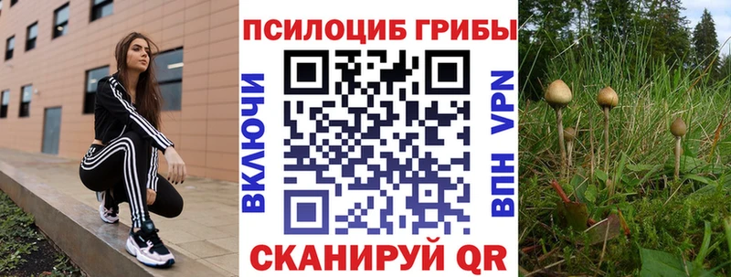 Галлюциногенные грибы Psilocybine cubensis  Купить закладки  Пестово 